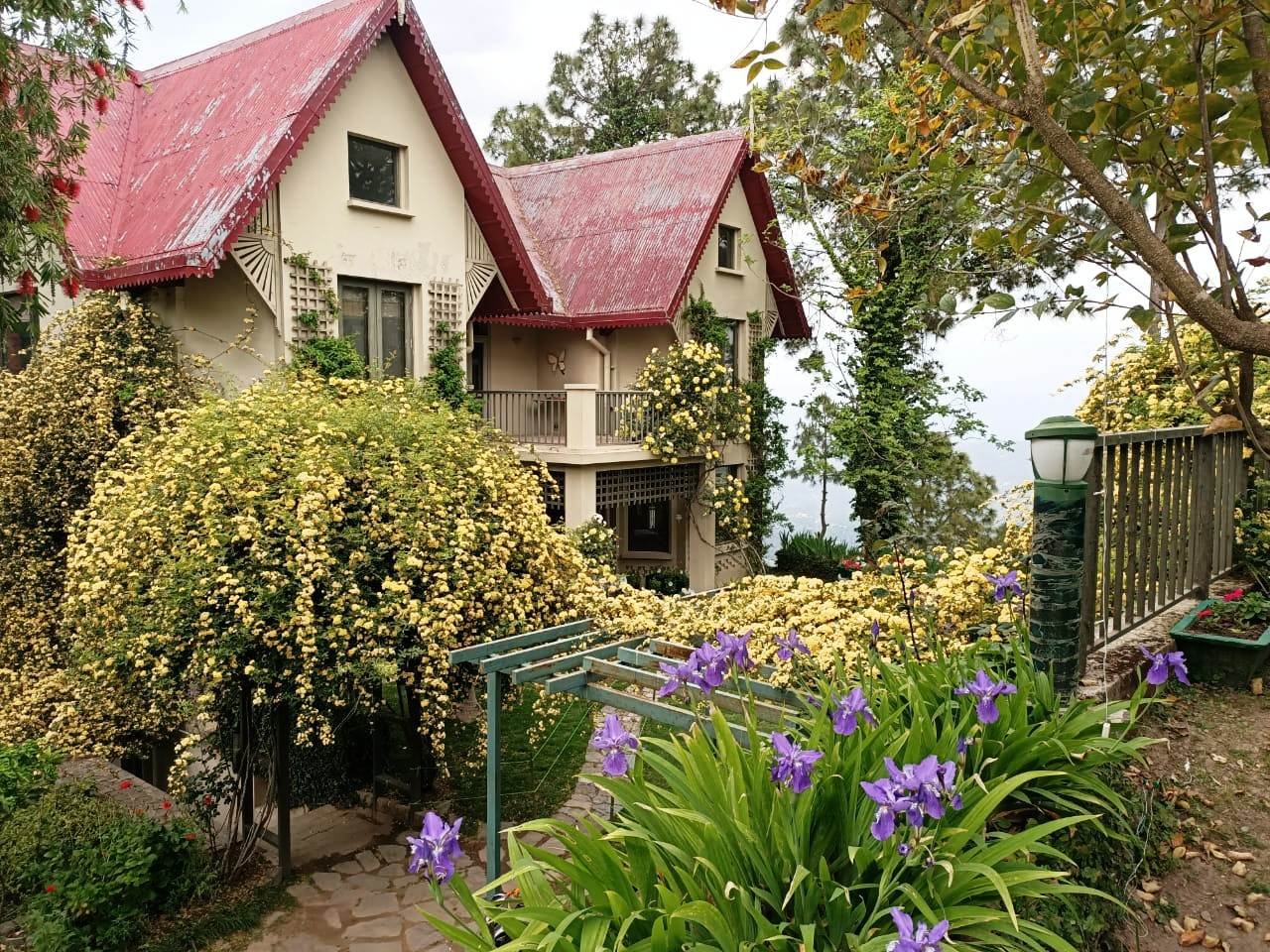Kasauli Kasauli